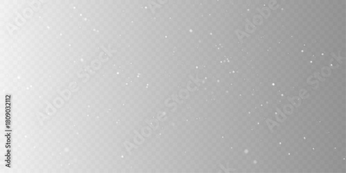 Christmas Snowfall Overlay with Magical Winter Snowflakes.
