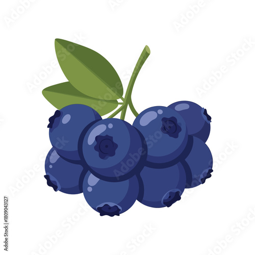 Blueberry cluster flat design illustration