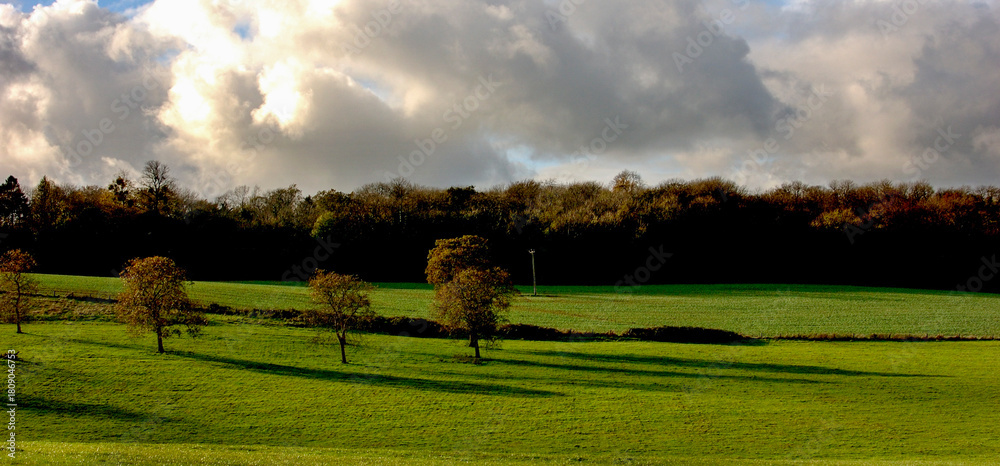 Fototapeta premium A scenic landscape with trees and a green field under a cloudy sky.