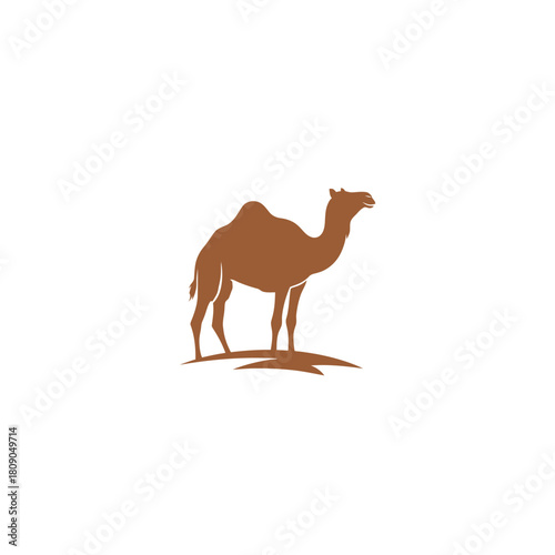 A silhouette of a dromedary camel standing on a sandy dune.