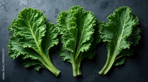 Fresh green lettuce leaves isolated on rustic surface
