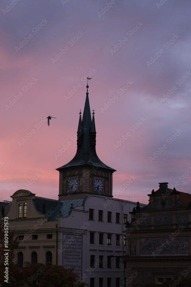 Fototapeta premium Dawn sky over historic buildings in Prague with a bird in motion