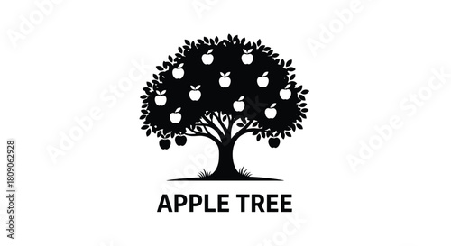 Black and white silhouette icon of a lush apple tree with fruit on its branches and the text APPLE TREE below.