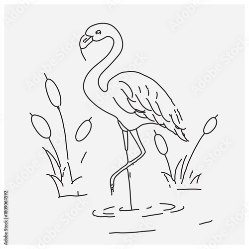 vector illustration of a bird