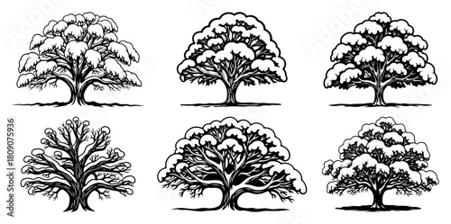 Set of Hand Drawn Deciduous Trees Vintage Engraving Collection