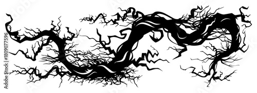 Twisted Tree Branch Silhouette Decorative Vector Border