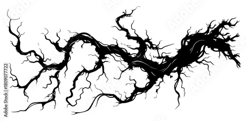 Gnarled Tree Branch Silhouette with Roots Creepy Dead Wood Vector Illustration