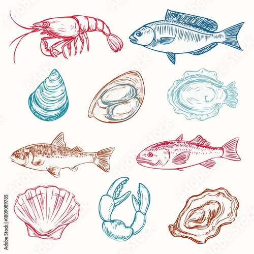 A doodle clipart set of seafood items including shrimp, mussel, fish fillet, crab claw, squid, oyster and scallop for restaurant branding and market signage