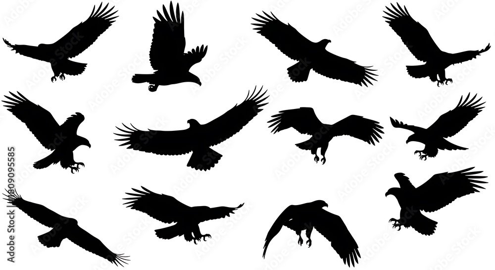 Obraz premium set of birds