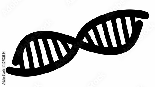 Illustration of a black dna double helix strand with visible base pairs on a white background view