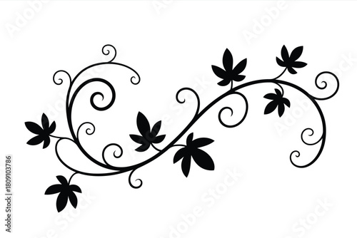 Black silhouette of a swirling vine with five pointed leaves on a white background leaf plant