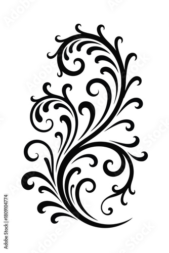 Black swirling floral flourish ornament with delicate curves and curls scroll decorative