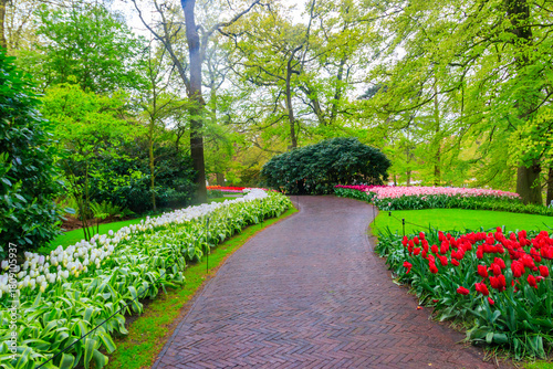 Wallpaper Mural Scenic view of Keukenhof tulip garden in Lisse, Netherlands. Keukenhof is the most beautiful spring garden in the world. Beautiful ornamental garden landscape at Lisse, Netherlands Torontodigital.ca