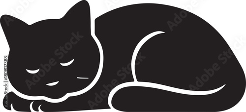black and white cat