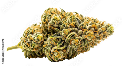 Close up of a cannabis flower bud isolated on transparent background for medical use