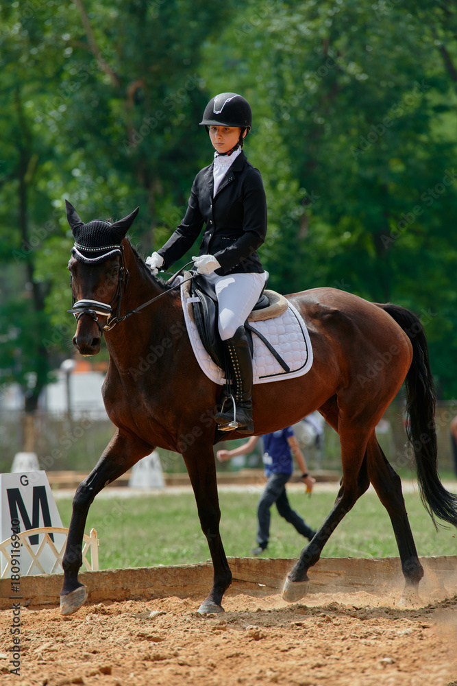 Obraz premium Equestrian sport, horse and rider in dressage competition, woman riding horse in outdoor arena, training and performance, equine event, sunny day, natural light, action shot.