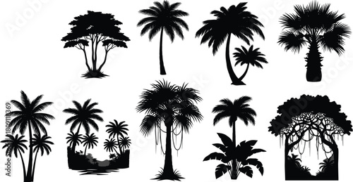 Collection of black tree silhouettes including palm trees, jungle forests, and tropical nature plants vector illustration set.