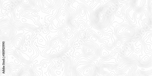 Abstract minimal pattern discovery vector topo map. creative discovery White wave grid stripe line map topography. vector geographic contour mounted map background.	