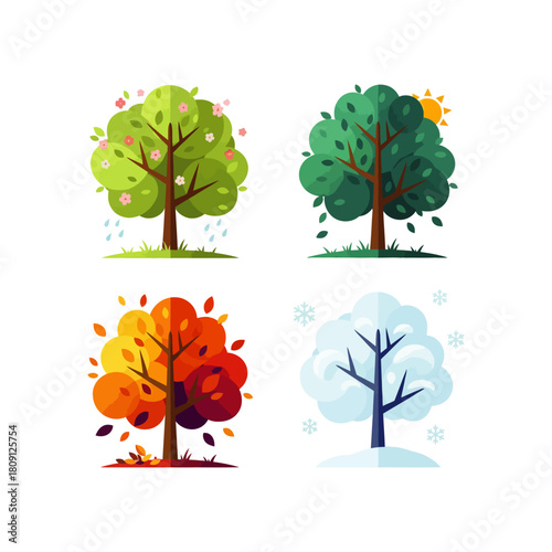 Tree with four seasons in one image icon flat vector design.