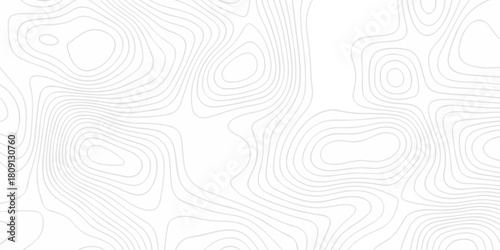 Modern area abstract topography map design. White curve map background. geometric topographic world grid wave Topographic map geographic line texture.	