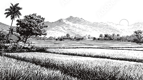 Peaceful Landscape of Rice Fields and Majestic Mountains in Background