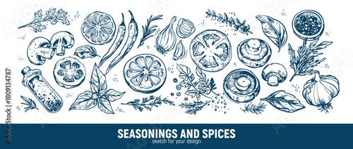 Big set for the menu. Spices and vegetables. Hand drawing sketches