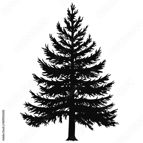 Black silhouette of pine tree isolated on white background with detailed layered branches and natural evergreen shape for nature design and decoration use vector illustration