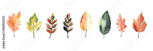 Set of colorful watercolor autumn leaves with varied shapes and warm fall colors isolated on white background vector illustration