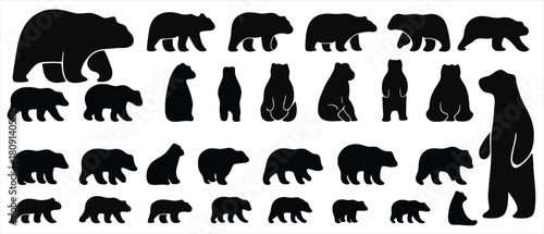 Set of Black Bear Silhouettes in Various Poses Standing Sitting and Walking for Icon Designs or Wildlife Education Material on White Background With Flat Design.