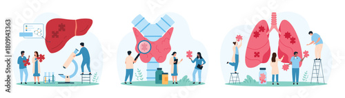 Internal organs health care, awareness and protection set. Tiny people holding puzzle piece to connect into healthy human lungs and liver and protect, examine thyroid gland cartoon vector illustration