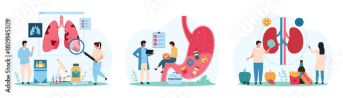 Bad effects of unhealthy lifestyle on internal organ health set. Tiny people check smoking damage on lungs, warning of danger of renal stones and gastritis from fast food cartoon vector illustration