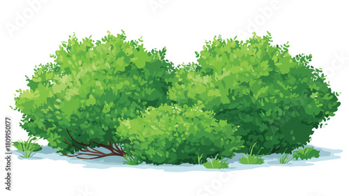 Bushes Located Close Together Vector Illustration
