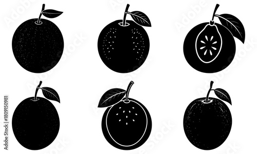 Illustration of six passion fruits in black and white with varying textures and cross section views