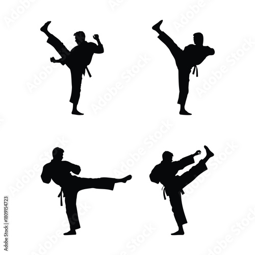 Karate fighter kicking silhouette isolated on white
