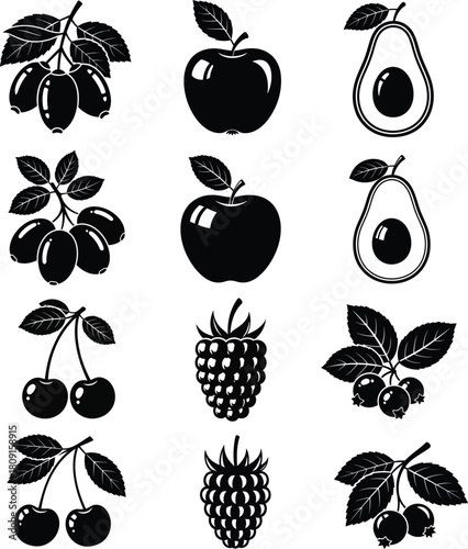 Hand drawn fruit set in black and white style