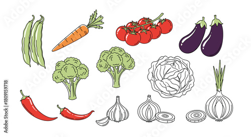 An illustrative collection of fresh and healthy vegetables, featuring colorful drawings and detailed line art on a crisp white background.