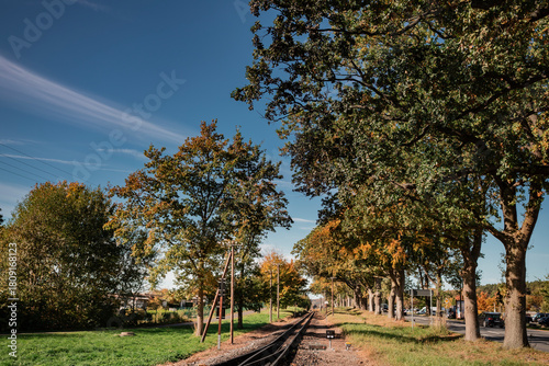 Perspective view of the narrow-gauge railway tracks leading into the distance, lined by trees with early autumn foliage under a dramatic blue sky with wispy clouds.