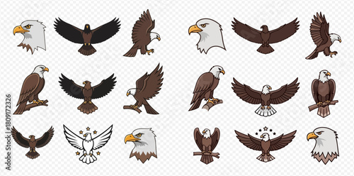 Diverse vector illustrations of eagles, including flying, perched, and head views, presented in various styles.