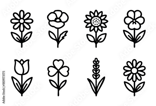 A collection of eight flower illustrations features different types of blooms, including daisies and sunflowers, displayed in a neat grid format. Each flower is outlined simply.