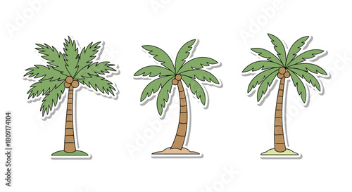 Illustration of three cartoon palm trees with coconuts on a white background.