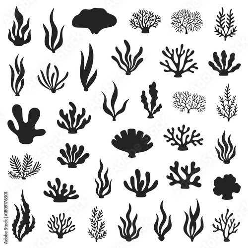 Dive into Design with this Collection of Seaweed, Shells, and Coral Silhouettes, Perfect for Nautical Themes, Underwater Illustrations, and Marine Biology Projects, Originally Vector Graphics