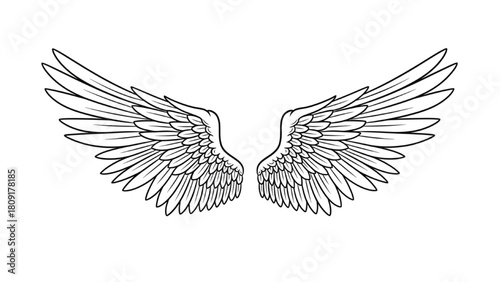 Elegant line art depiction of a pair of detailed angel wings