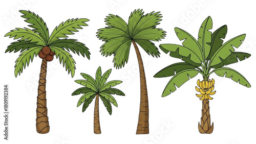 A vibrant collection of hand-drawn tropical palm trees, including coconut and banana