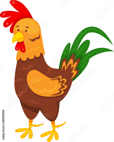 Colorful cartoon rooster character standing farm animal illustration