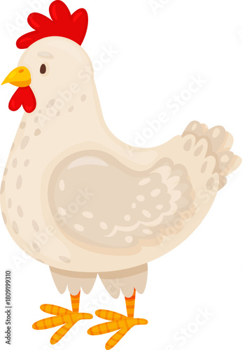 White chicken hen standing farm animal drawing