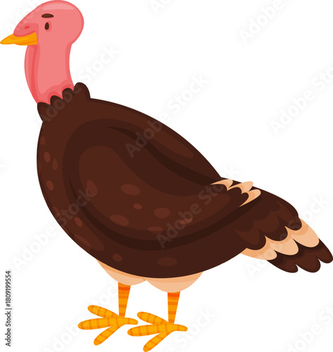 Cartoon turkey standing on white background illustration