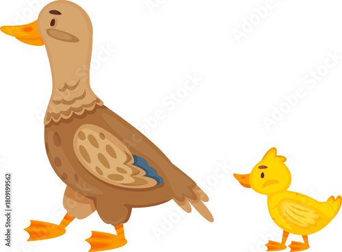 Mother duck protecting and guiding a small duckling