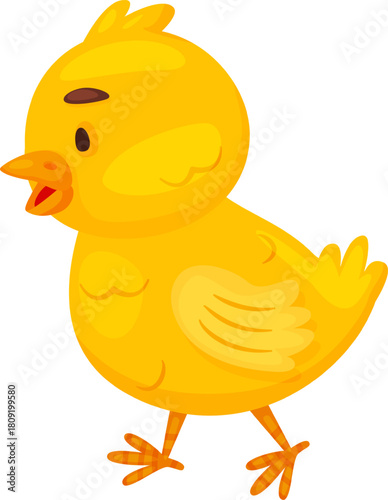 Yellow chick cartoon illustration walking a white background