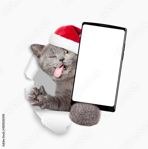 Funny winking cat with tongue out wearing santa hat holds smartphone with white blank screen in it paw through torn white paper hole. Empty free space for mock up, banner