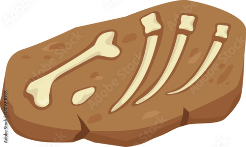 Fossilized animal bones remaining in brown rock